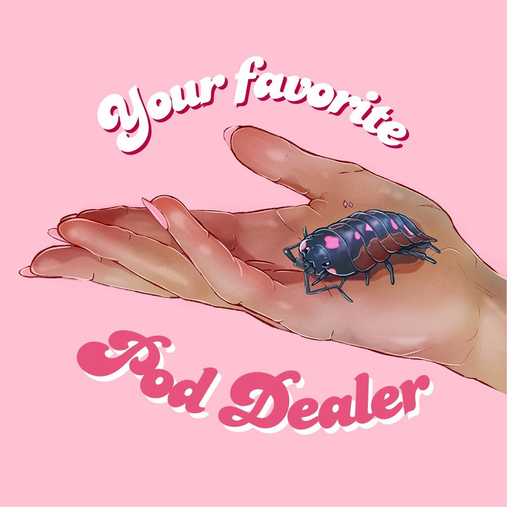Your Favorite Pod Dealer